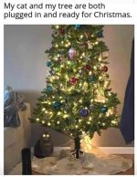 IMG_1242.jpeg