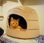 IMG_1477.jpeg