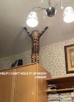 1765402317737.jpeg 1765402317737.jpeg