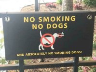 1772848806643.jpeg