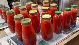 IMG_2438.jpeg
