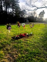 IMG_1324.jpeg