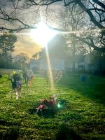 IMG_1323.jpeg