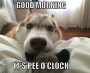 IMG_5103.jpeg