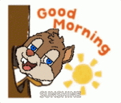 1781432550005.gif