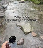 1781804284124.jpeg