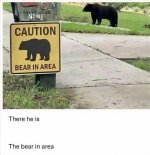 1781828693750.jpeg
