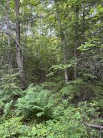 hike0702-3.jpg