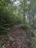 hike0702-9.jpg