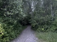 hike0702-11.jpg