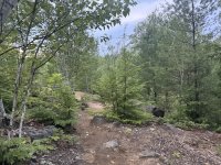 hike0702-10b.jpg