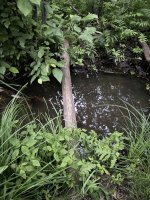 hike0702-11b.jpg