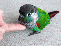 1783326638738.gif