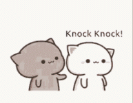 1785147020833.gif
