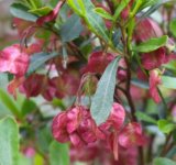 IMG_3561.jpeg