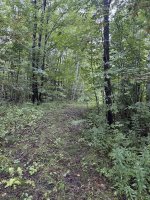 HikeAug1726-3.jpg HikeAug1726-3.jpg