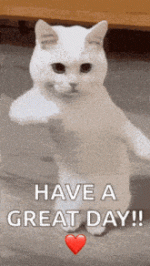 1787558193203.gif