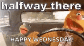 1787737385955.gif