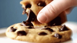 1788184080489.gif