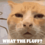 1788441778302.gif