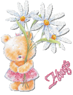 IMG_2074.gif
