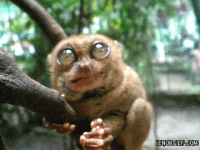 1789218438658.gif