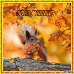 d5cc294d89114b7e2f2b401e5e7e81f6.gif