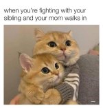 1789656660397.jpeg
