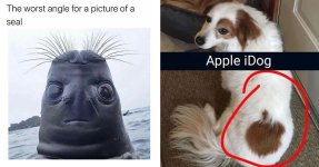 1789753740138.jpeg