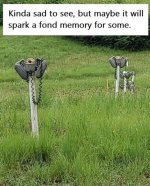IMG_4002.jpeg