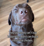 1790319471686.png