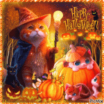 11352102_8c247.gif