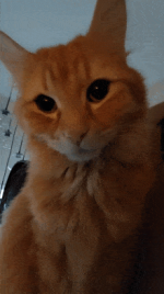 1790843116290.png
