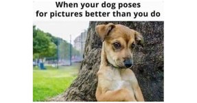animal-memes-today-20240310.jpg