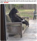 IMG_1960.jpeg