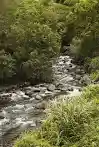 1793064340095.png